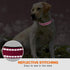 Taglory Adjustable Reflective Dog Collar with Safety Locking Buckle, 3/4 inch Wide, Hot Pink for Small Dogs