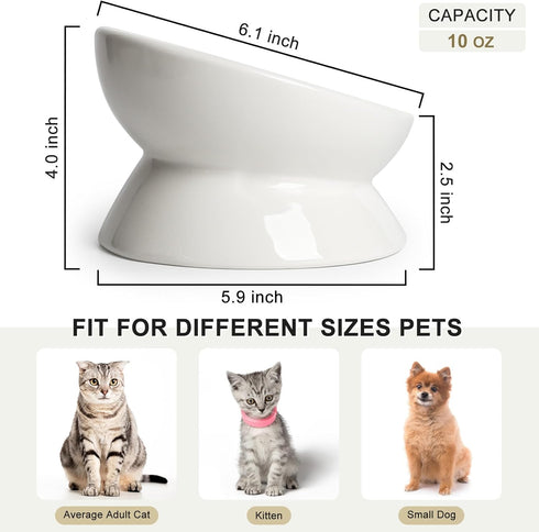 Elevated Tilted Cat Bowl - Ceramic Raised Food Dish for Cats and Small Dogs, 6 Inches, 10 Oz, Anti Vomit, White
