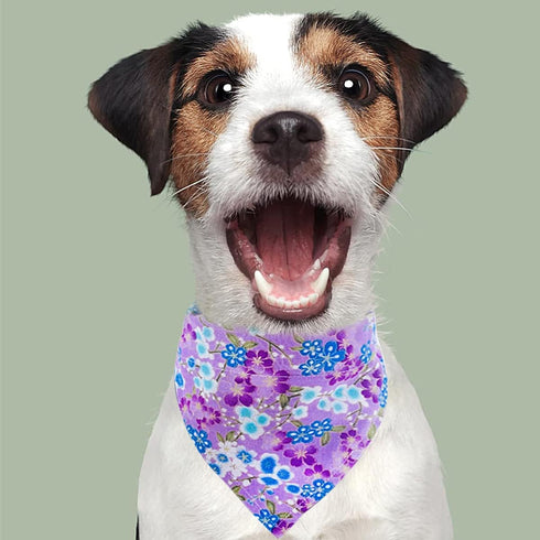 PET SHOW 4Pcs Small Dog Bandanas Slide on Collar Set, Washable Cherry Blossoms Accessories for Small Medium Dogs