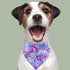 PET SHOW 4Pcs Small Dog Bandanas Slide on Collar Set, Washable Cherry Blossoms Accessories for Small Medium Dogs