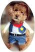 NACOCO Cowboy Dog Costume with Hat for Cat & Small Dog Clothes - Blue (X-Small)