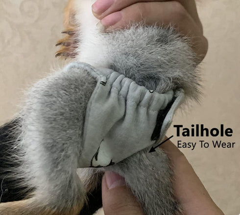 WCDJOMOP (3.9" 6.3"), Reusable Washable Squirrel Diapers, Highly Absorbent with Strong & Flexible Pants No Leak