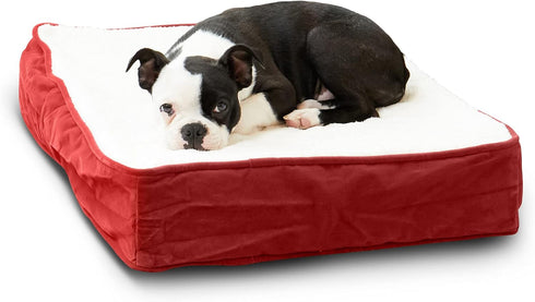 South Pine Porch Ollie Orthopedic Rectangle Foam Dog Bed - Extra Small, Crimson, 24" x 18"