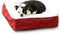 South Pine Porch Ollie Orthopedic Rectangle Foam Dog Bed - Extra Small, Crimson, 24" x 18"