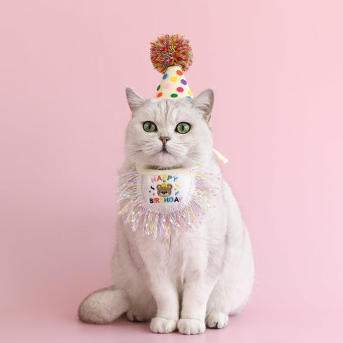 Cat Birthday Bandana Scarf and Party Hat Set, Cute Tassels Bib Scarf for Cat Birthday Party Decorations