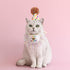 Cat Birthday Bandana Scarf and Party Hat Set, Cute Tassels Bib Scarf for Cat Birthday Party Decorations