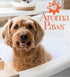 2-in-1 13.5 oz Dog Shampoo and Conditioner - Natural Deodorizing Formula Odor Neutralizer - Tearless Sensitive Skin