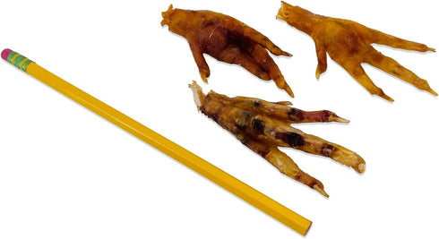 50 Count ValueBull Chicken Feet for Dogs, - All Natural Dog Chew, Hip and Joint Chew, Single Ingredient Dog Treat
