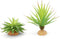 JIHAQUA Reptile Terrarium Decor 2-Piece Realistic Succulent Set,Lifelike Plastic Plants for Geckos, Bearded