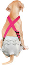 Paw Inspired Dog Diaper Suspenders with Velcro Fasteners, Adjustable for Disposable & Washable Diapers, Fits Small to