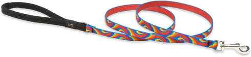 LupinePet Originals 4-foot Padded Handle Leash - 1/2" for Small Pets