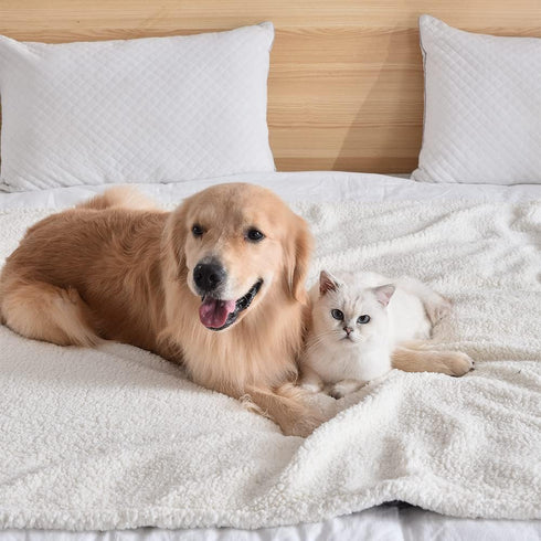 Qeils Dog Blankets for Small Dogs, Waterproof Cat Blanket, Washable Sherpa Fleece Puppy Blanket, Soft Plush Reversible