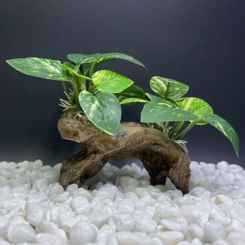 Smoothedo-Pets Aquarium Decor Ornaments, Betta Silk Leaf Pad Hammock & Artificial Driftwood Cave for Goldfish Bowl