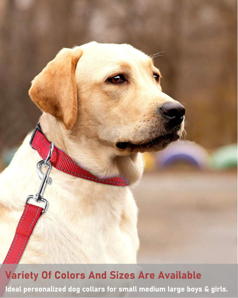 Adjustable Reflective Dog Collar with Buckle, Safety Nylon for Small Medium Large Dogs, Red XL
