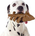 Tough Durable Fun Dinosaur Shaped Dog Chew Toys for Aggressive Chewers, Teething Bones Toys