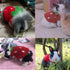 ANIAC Bunny Clothes for Rabbits - Warm Kitten Vest Fleece XXXS Dog Shirt for Small Animals (3S)