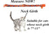 BoomBone 2 Pack Cat Halloween Collar,Pumpkin and Purple Dog Collars for Small Dogs
