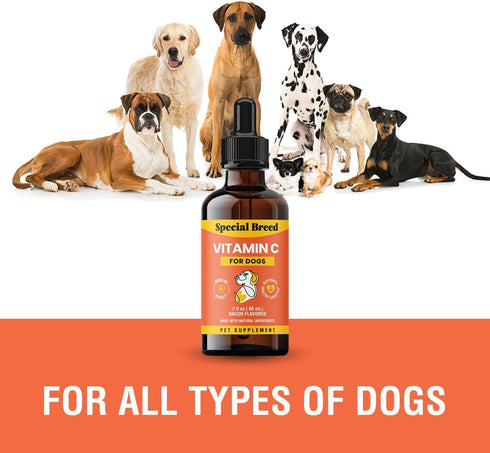 Immune Immune 2oz Vitamin C for Dogs, Helps Support System, Vitamin C Liquid Supplement, Dog Booster, Bacon Flavored