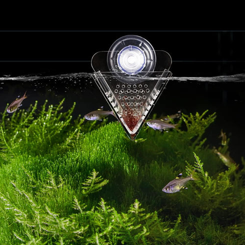 WEAVERBIRD Acrylic V-Shape Cone Red Worm Feeder with Suction Cup for Shrimp Fish Tank Feeding