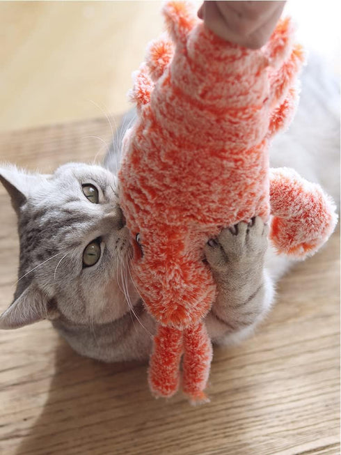 Flopping Lobster Toys for Cats & Small Dogs, Interactive Catnip Toys for Indoor Cats, USB Rechargeable