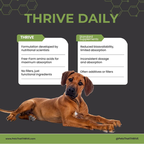 THRIVE Pet Nutrition 30 Count (4.8oz) Thrive Daily Amino Acids for Dogs Muscle Health, Recovery, Energy & Longevity