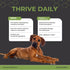 THRIVE Pet Nutrition 30 Count (4.8oz) Thrive Daily Amino Acids for Dogs Muscle Health, Recovery, Energy & Longevity
