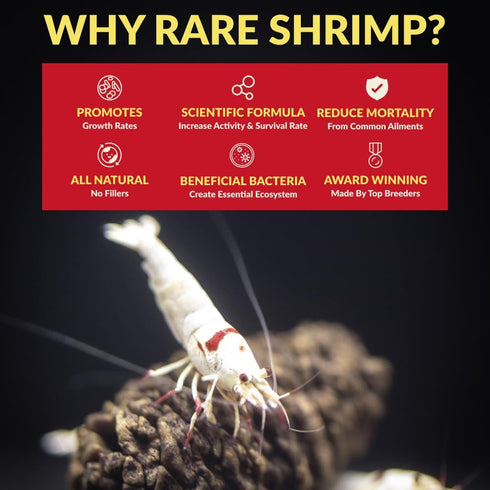 Setups (1L) ShrimpSoil Pro - Freshwater Shrimp & Aquatic Plant Soil | Professional Buffering Substrate for Caridina
