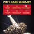 Setups (1L) ShrimpSoil Pro - Freshwater Shrimp & Aquatic Plant Soil | Professional Buffering Substrate for Caridina