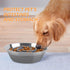 Soft Silicone Slow Feeder Dog Bowls Insert for Small, Medium, and Large Dogs, Compatible with Regular Bowls