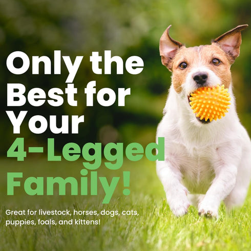 Best Shot ONE SHOT Deodorizing Conditioner, Hydrating for Dogs, Cats, Horses, Livestock, 16 Oz.