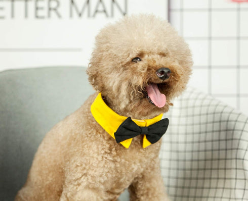 Handcrafted Adjustable Formal Pet Bowtie Collar Neck Tie for Dogs & Cats (S, Black 1)