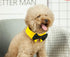 Handcrafted Adjustable Formal Pet Bowtie Collar Neck Tie for Dogs & Cats (S, Black 1)
