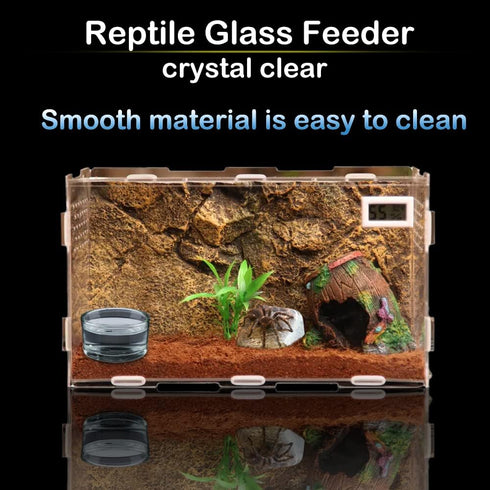6 Pcs Glass Reptile Feeding Bowl, Food Basin Tray Container, Water Dish Cup for Small Reptiles