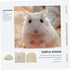 Chinchillas, Rabbit Bedding Litter Box, Triangle Potty Trainer Corner Litter Bedding Box for Small Guinea Pigs, Ferret