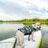 Doglay Dog Life Jacket, Adjustable Vest for Swimming Boating, Reflective Stripes, Superior Buoyancy for Dogs