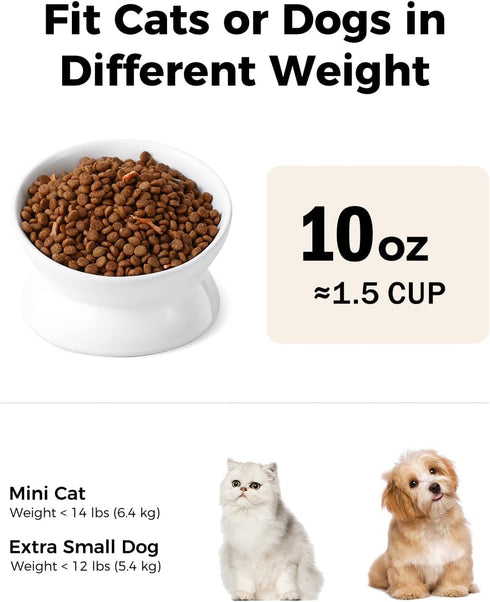 Elevated Cat Food Bowl, 5 Oz Ceramic Raised and Tilted Water Bowl, Anti Vomiting and Protect Pets' Spines Dishes for Small Dog, Fat Faced Cat, Kitten (White, 10 OZ)