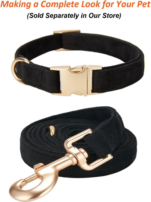 Soft Cotton Dog Leash - 5 Ft Heavy Duty Corduroy Leash with Gold Metal Hook for Small Medium Large Dogs, Black