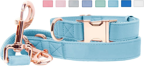 Soft Leather Dog Collar and Leash Set (6.6'), Stylish Rose Gold Heavy Duty Metal Buckle, 4 Adjustable Lengths for Small