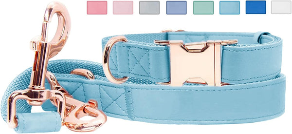 Soft Leather Dog Collar and Leash Set (6.6'), Stylish Rose Gold Heavy Duty Metal Buckle, 4 Adjustable Lengths for Small