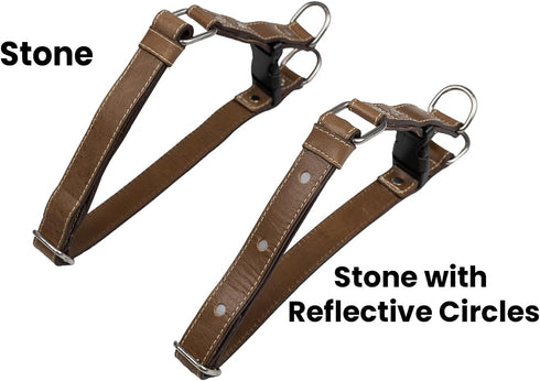 Leather Quick Release Dog Collar - Handcrafted Full Grain Leather with Stainless Steel Hardware - Stone, Medium