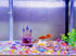 Cute Cartoon Pink Fairy Castle Decor, Small Fish Tank Ornament for Shrimp Crab Betta Cichlids