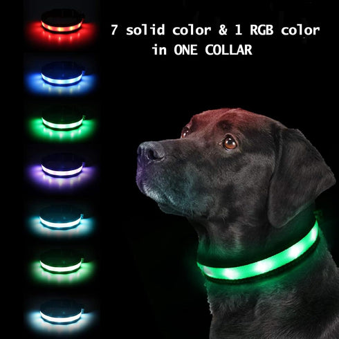 Light Up Dog Collar, Safety LED Rechargeable 7 Colors, Glow in The Dark, Adjustable Buckle for Dogs, XS Size