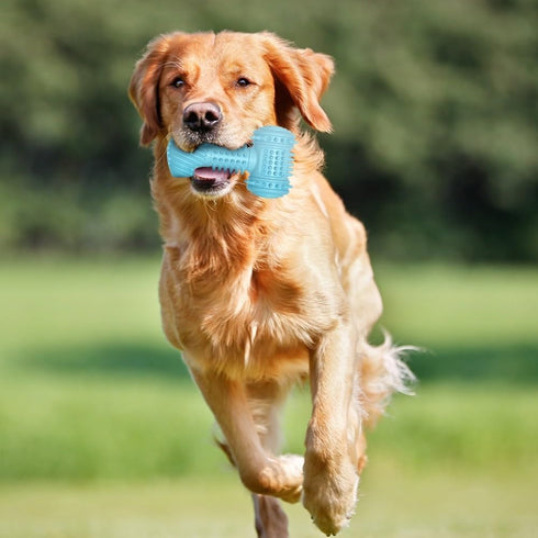 Hammer MiOYOOW Dog Chew Toys, Shaped Dog Toys Puppy Dog Teething Toys for Small Dogs Teeth Dental Oral Care