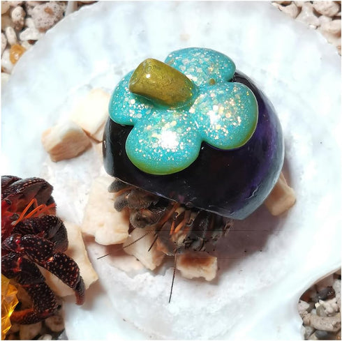 Opaeroo Designs Hermit Crab Shells for Home Decorations Hermit Crab Supplies and DIY