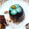 Opaeroo Designs Hermit Crab Shells for Home Decorations Hermit Crab Supplies and DIY