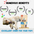 Amazing Dog Treats - Large Collagen Stick (6 Inch - 8 Count) - 100% Pure Collagen Sticks for Dogs