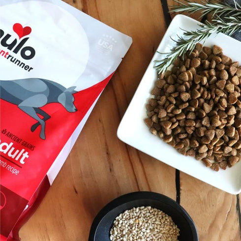 Nulo Frontrunner All Breed Adult Premium Natural Dry Kibble Dog Food, Beef Barley Lamb, 5 lb Bag