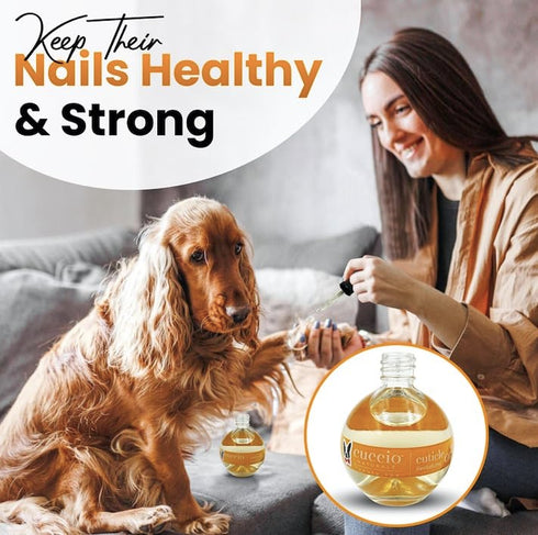 Warren London Dog Cuticle & Nail Revitalizing Oil | Moisturize, Strengthen, Nourish | Cruelty-Free, Non-Greasy Formula