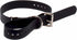 Educator Biothane Dog Collar, Black, 1-Inch, Adjustable, Waterproof, Odorproof, Metal Buckle, D Ring for Dogs