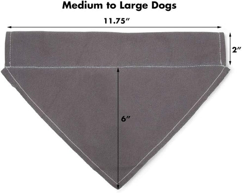 Pavilion Gift Company Big Brother Blue Paw Print Large Dog Slip on Collar Bandanna